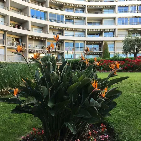 Apartment Hana Cannes